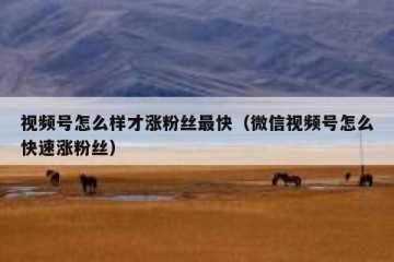 视频号怎么样才涨粉丝最快（微信视频号怎么快速涨粉丝）