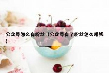 公众号怎么有粉丝（公众号有了粉丝怎么赚钱）
