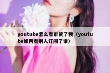 youtube怎么看谁赞了我（youtube如何看别人订阅了谁）