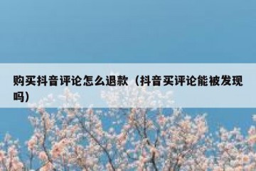 购买抖音评论怎么退款（抖音买评论能被发现吗）