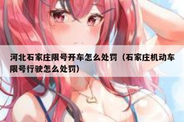 河北石家庄限号开车怎么处罚（石家庄机动车限号行驶怎么处罚）