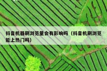 抖音机器刷浏览量会有影响吗（抖音机刷浏览能上热门吗）