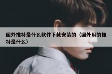 国外推特是什么软件下载安装的（国外用的推特是什么）
