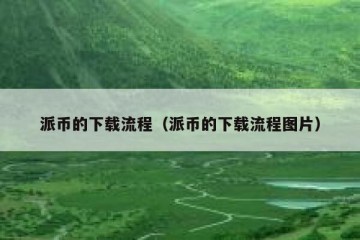 派币的下载流程（派币的下载流程图片）