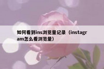 如何看到ins浏览量记录（instagram怎么看浏览量）