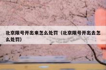 北京限号开出来怎么处罚（北京限号开出去怎么处罚）