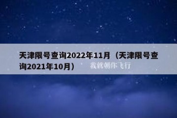 天津限号查询2022年11月（天津限号查询2021年10月）