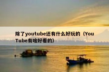 除了youtube还有什么好玩的（YouTube有啥好看的）
