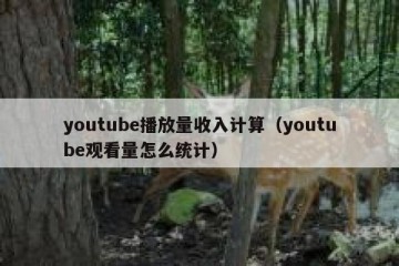 youtube播放量收入计算（youtube观看量怎么统计）