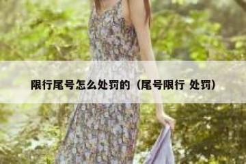 限行尾号怎么处罚的（尾号限行 处罚）