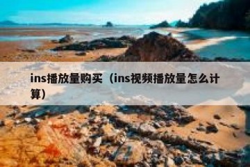 ins播放量购买（ins视频播放量怎么计算）