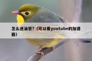 怎么进油管?（可以看youtube的加速器）
