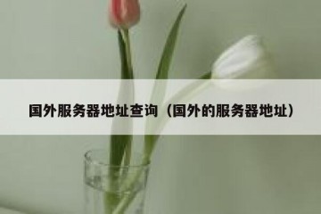 国外服务器地址查询（国外的服务器地址）