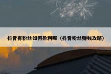 抖音有粉丝如何盈利呢（抖音粉丝赚钱攻略）