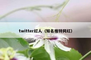 twitter红人（知名推特网红）