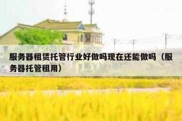 服务器租赁托管行业好做吗现在还能做吗（服务器托管租用）
