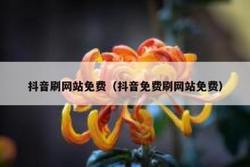 抖音刷网站免费（抖音免费刷网站免费）