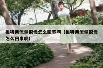 推特用流量很慢怎么回事啊（推特用流量很慢怎么回事啊）