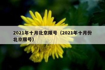 2021年十月北京限号（2021年十月份北京限号）