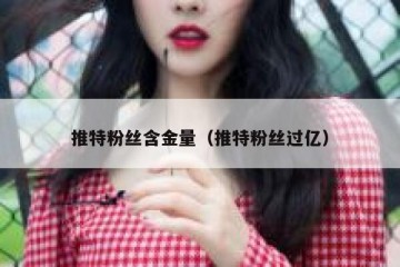 推特粉丝含金量（推特粉丝过亿）