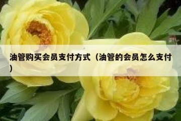 油管购买会员支付方式（油管的会员怎么支付）