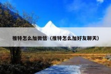 推特怎么加微信（推特怎么加好友聊天）