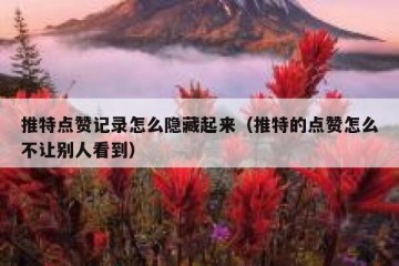 推特点赞记录怎么隐藏起来（推特的点赞怎么不让别人看到）