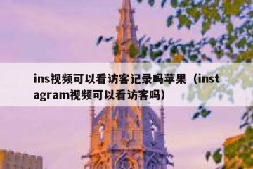ins视频可以看访客记录吗苹果（instagram视频可以看访客吗）