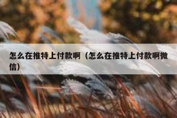 怎么在推特上付款啊（怎么在推特上付款啊微信）