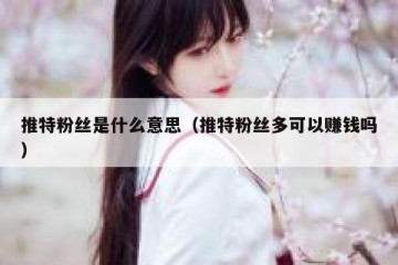 推特粉丝是什么意思（推特粉丝多可以赚钱吗）