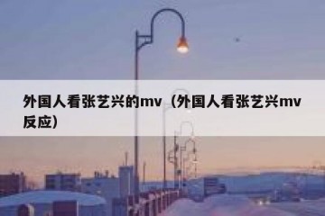 外国人看张艺兴的mv（外国人看张艺兴mv反应）