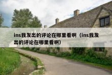 ins我发出的评论在哪里看啊（ins我发出的评论在哪里看啊）