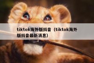 tiktok海外版抖音（tiktok海外版抖音最新消息）