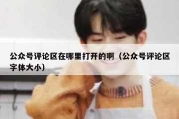 公众号评论区在哪里打开的啊（公众号评论区字体大小）