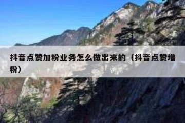 抖音点赞加粉业务怎么做出来的（抖音点赞增粉）