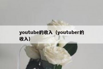 youtube的收入（youtuber的收入）