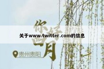 关于www.twitter.com的信息