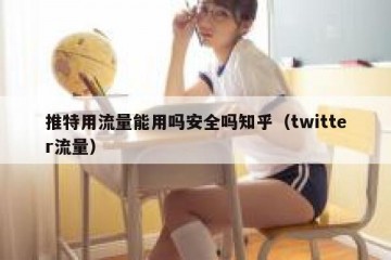 推特用流量能用吗安全吗知乎（twitter流量）