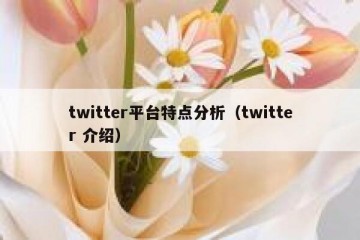 twitter平台特点分析（twitter 介绍）