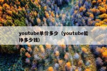 youtube单价多少（youtube能挣多少钱）