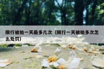 限行被拍一天最多几次（限行一天被拍多次怎么处罚）