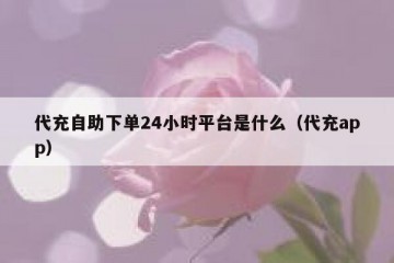 代充自助下单24小时平台是什么（代充app）
