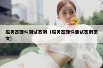 服务器硬件测试案例（服务器硬件测试案例范文）