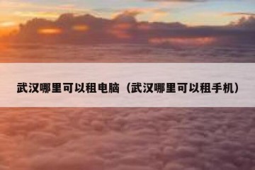 武汉哪里可以租电脑（武汉哪里可以租手机）