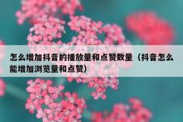 怎么增加抖音的播放量和点赞数量（抖音怎么能增加浏览量和点赞）