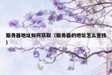 服务器地址如何获取（服务器的地址怎么查找）