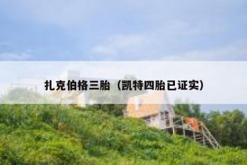 扎克伯格三胎（凯特四胎已证实）