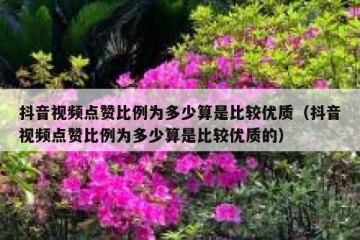 抖音视频点赞比例为多少算是比较优质（抖音视频点赞比例为多少算是比较优质的）