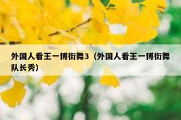 外国人看王一博街舞3（外国人看王一博街舞队长秀）