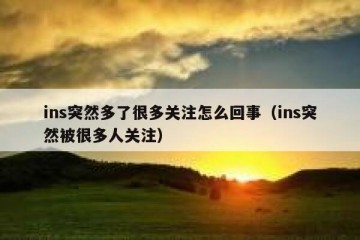 ins突然多了很多关注怎么回事（ins突然被很多人关注）